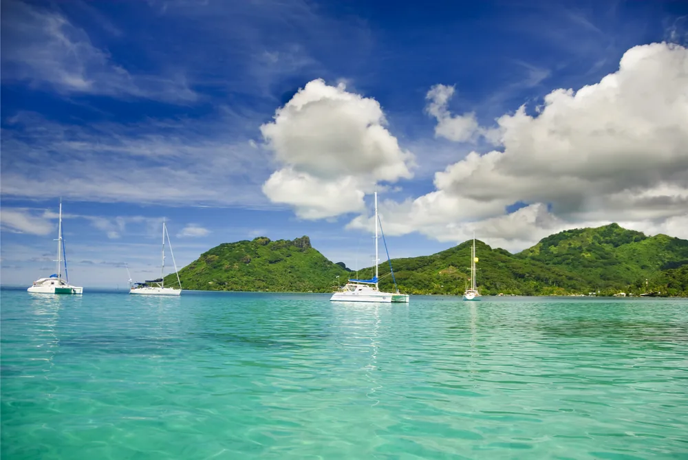 Sailboats anchored in clear water beside a Pacific island