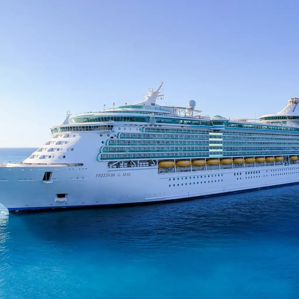Freedom of the Seas, one of the Freedom-class ships with hump balconies midship