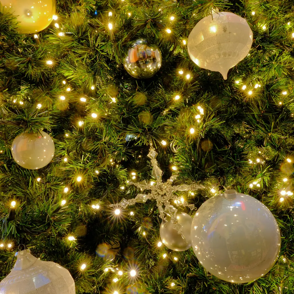 A close-up of a decorated Christmas tree with lights and ornaments